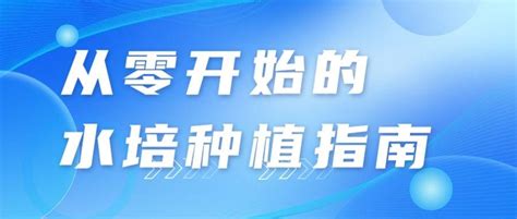 水培|水培新手必读：从零开始的水培种植指南